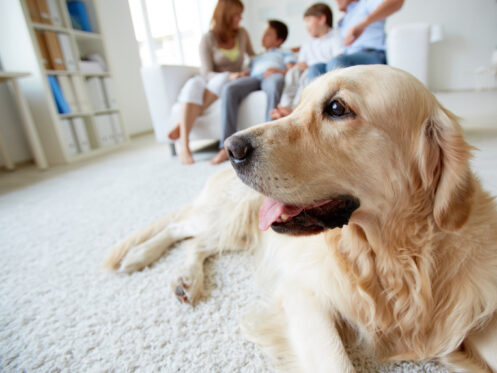 Family and their dog enjoying their home